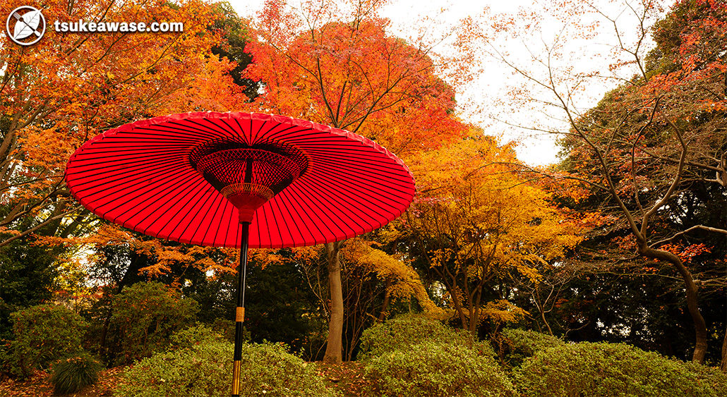 六義園の紅葉