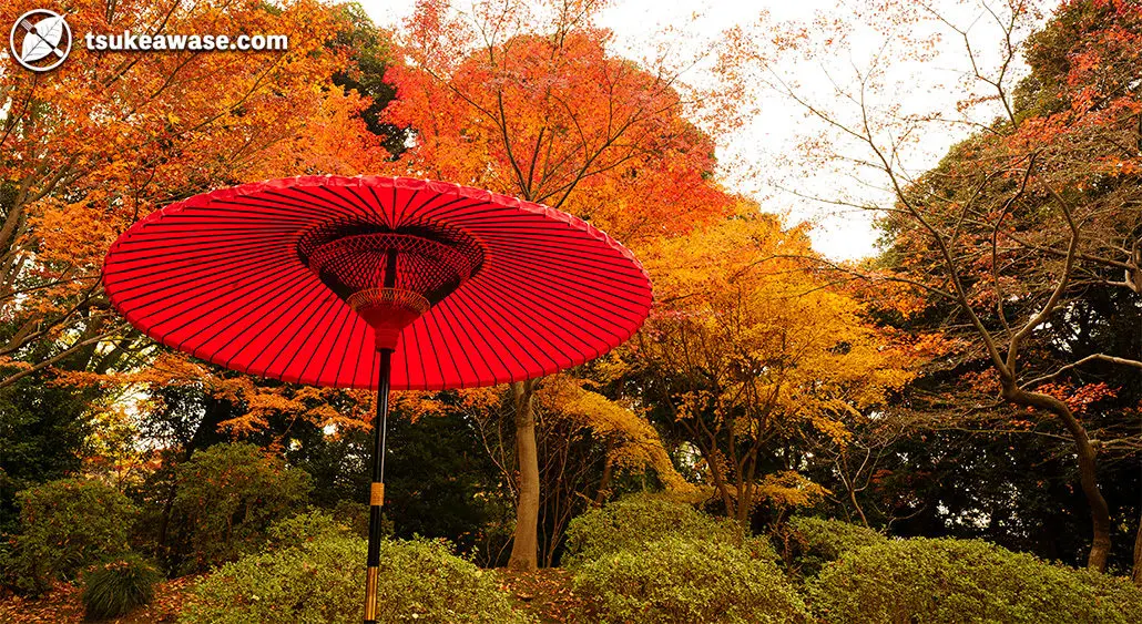 六義園の紅葉